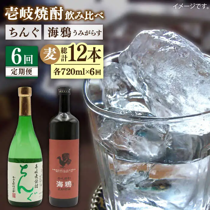 【全6回定期便】海鴉25度とちんぐ25度のセット [JDB187] 96000 96000円