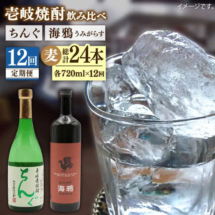 【全12回定期便】海鴉25度とちんぐ25度のセット [JDB188] 192000 192000円