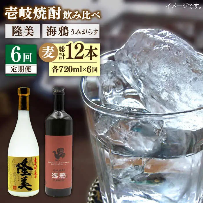 【全6回定期便】隆美焼酎25度と海鴉25度のセット [JDB190] 90000 90000円