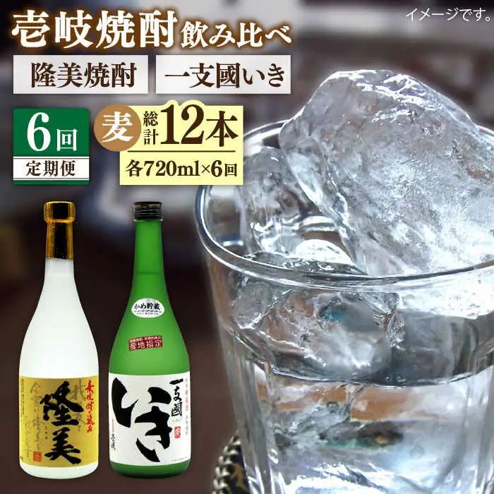 【全6回定期便】隆美焼酎・かめ貯蔵 いき 27度の2本入りセット [JDB199] 90000 90000円