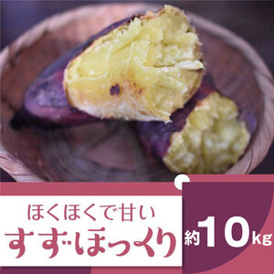 2025年度産 ホクホクで甘いさつまいも すずほっくり 約10kg｜さつまいも 芋 お芋 すずほっくり 渋谷農園 茨城県 行方市(BZ-12)