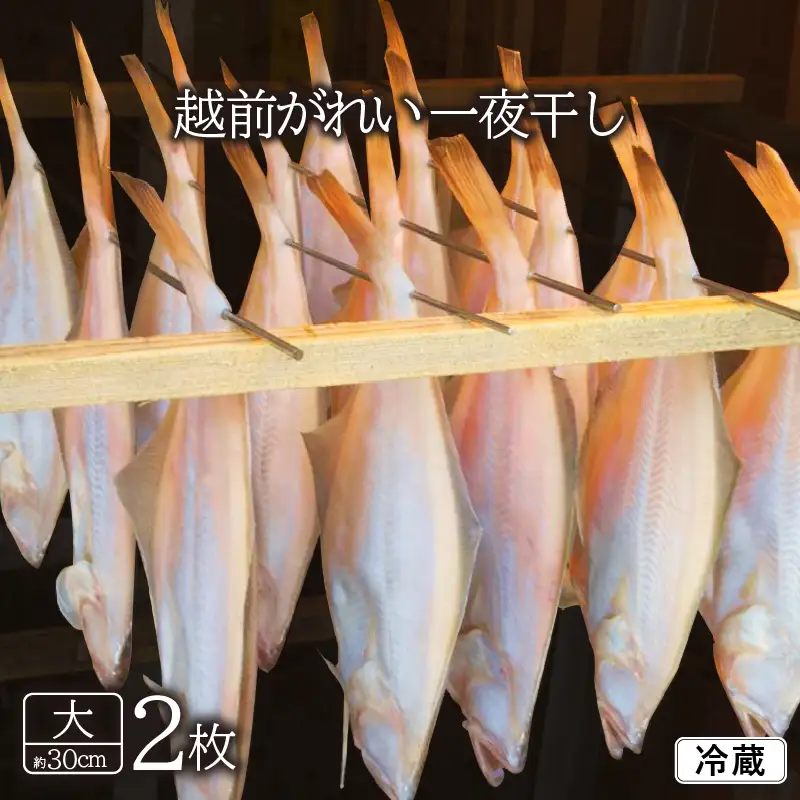 【冷蔵】添加物不使用 越前 赤かれい干物 2枚 大サイズ 2026年11月中旬より発送 「天日干し」旨み濃縮 [e23-a001]