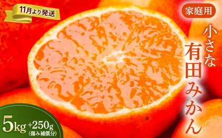 家庭用 小玉な有田みかん5kg+250g（傷み補償分）【わけあり・訳あり】【光センサー選果】 