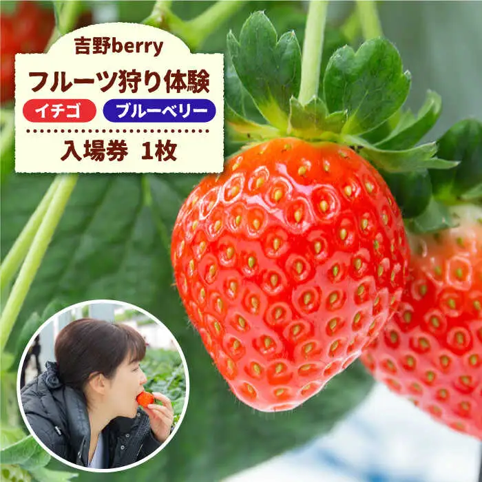 吉野ベリー入場券(1枚) 吉野ヶ里町/吉野麦米 イチゴ狩り ブルーベリー狩り[FCR001]