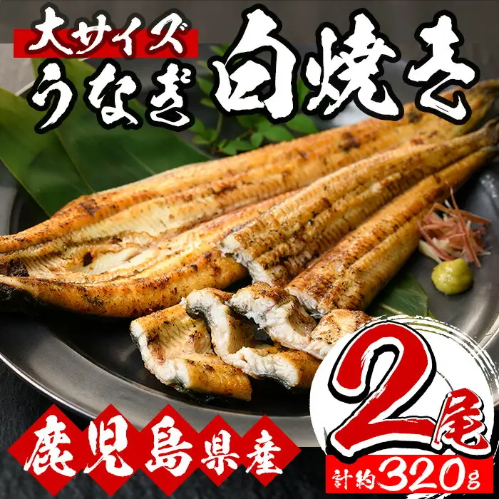 鹿児島県産 うなぎ白焼 2尾 うなぎ【00-025-15】