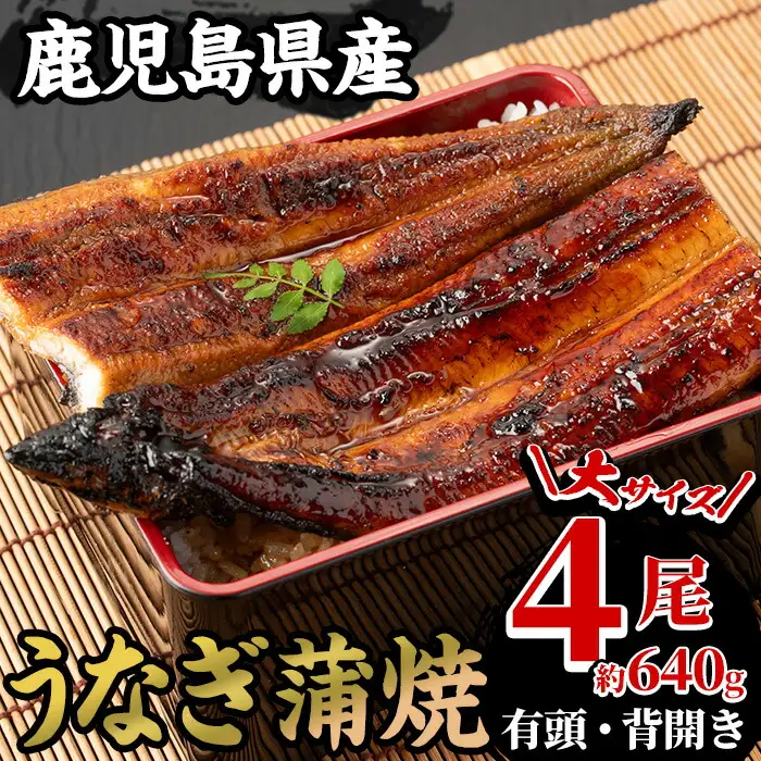 鹿児島県産 うなぎ蒲焼 4尾 大 うなぎ【00-025-17】