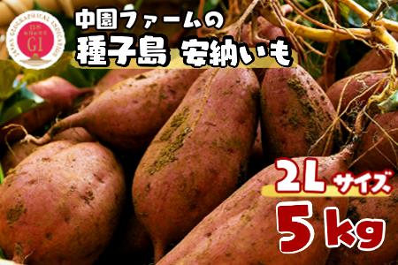 種子島 中園ファーム 安納いも ( 生芋 ) 2L ジャンボ サイズ 5kg　NFN458【300pt】