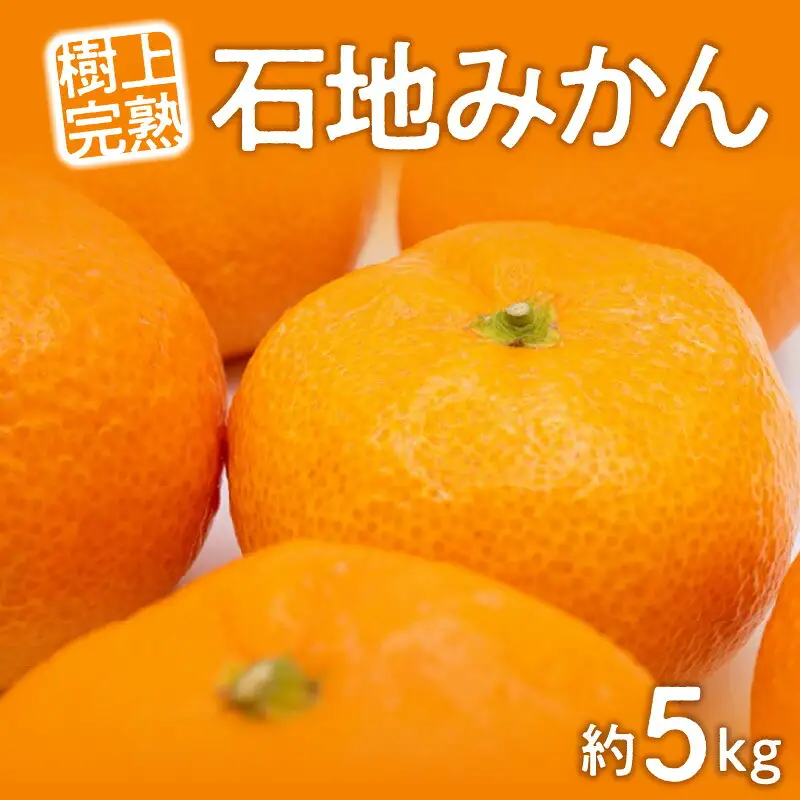 樹上完熟「石地みかん」約5kg