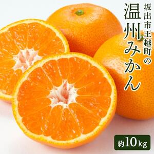 坂出市王越町の温州みかん 10kg（約5kg×2箱）