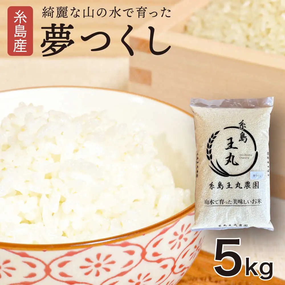 糸島産 夢つくし 5kg　糸島市 / 糸島王丸農園 ( 谷口汰一 )【いとしまごころ】[AAZ001]