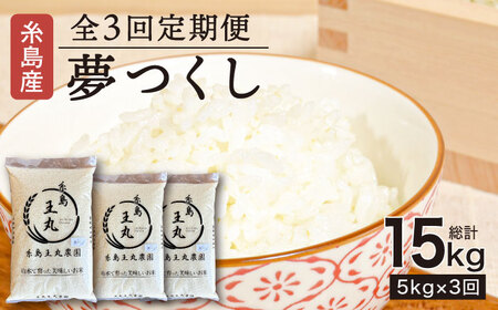 【全3回定期便】 糸島産 夢つくし 5kg × 3回（月1回）糸島市 / 糸島王丸農園 ( 谷口汰一 )【いとしまごころ】[AAZ002]