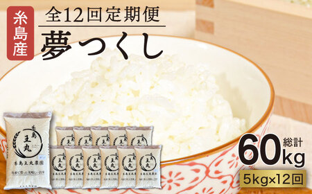 【全12回 定期便】 糸島産 夢つくし 5kg × 12回（月1回）　糸島市 / 糸島王丸農園 ( 谷口汰一 )【いとしまごころ】[AAZ004]