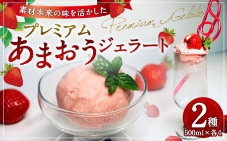 プレミアムあまおうジェラート 2種セット 500ml×2個 アイス シャーベット いちご