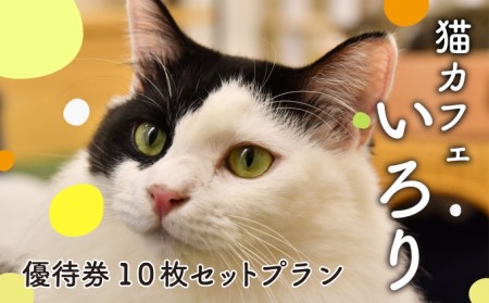 猫カフェいろり ご利用優待券（1時間分）×10枚セット  |    