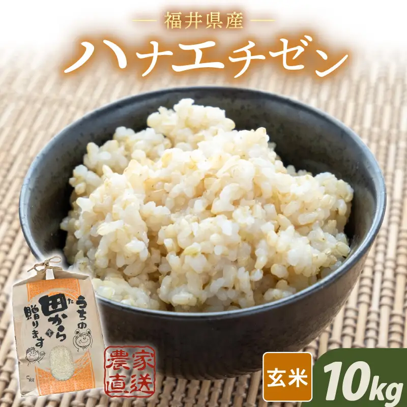 【先行予約】【令和8年産・新米】 ハナエチゼン10kg(5kg×2袋) ～本原農園からまごころコメて～（玄米）【2026年9月上旬以降順次発送予定】 [B-8946_02]