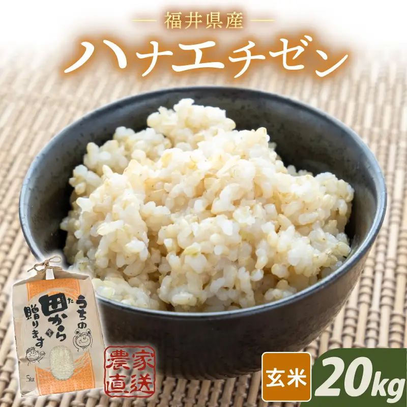 【先行予約】【令和8年産・新米】 ハナエチゼン20kg(5kg×4袋) ～本原農園からまごころコメて～（玄米）【2026年9月上旬以降発送予定】 [D-8917_02]
