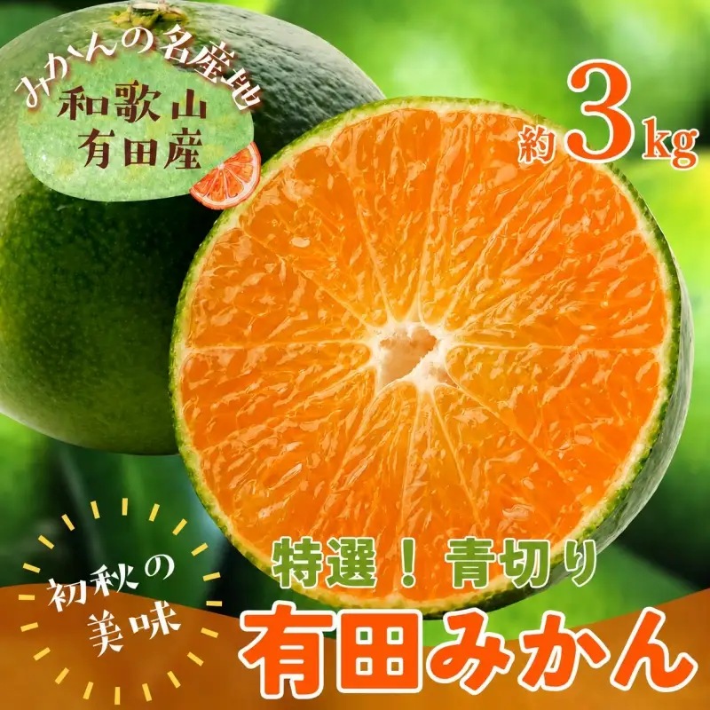【先行予約】【初秋の美味】【農家直送】特選　青切り有田みかん　約3kg+200g(傷み補償分)【2026年9月中旬～10月上旬頃に順次発送予定】【ard043C】