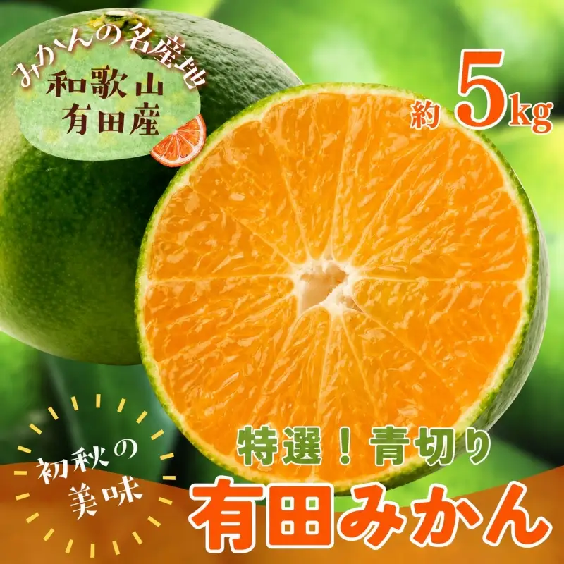 【先行予約】【初秋の美味】【農家直送】特選　青切り有田みかん　約5kg+200g(傷み補償分)【2026年9月中旬～10月上旬頃に順次発送予定】【ard044D】