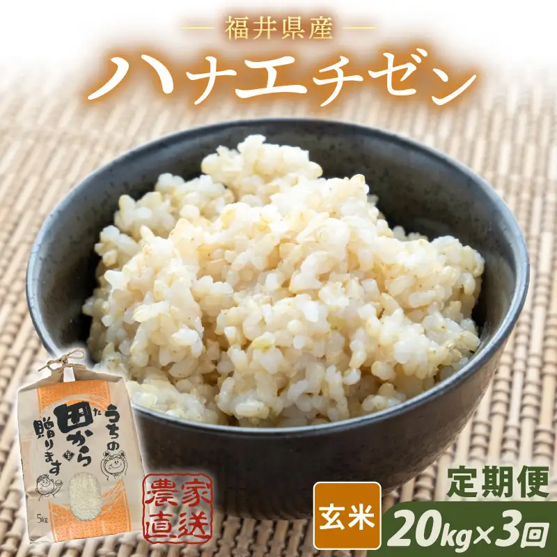 【先行予約】【令和8年産・新米】定期便 ≪3ヶ月連続お届け≫ ハナエチゼン20kg×3回 計60kg（玄米）【2026年9月上旬以降順次発送予定】 [K-8909_02]