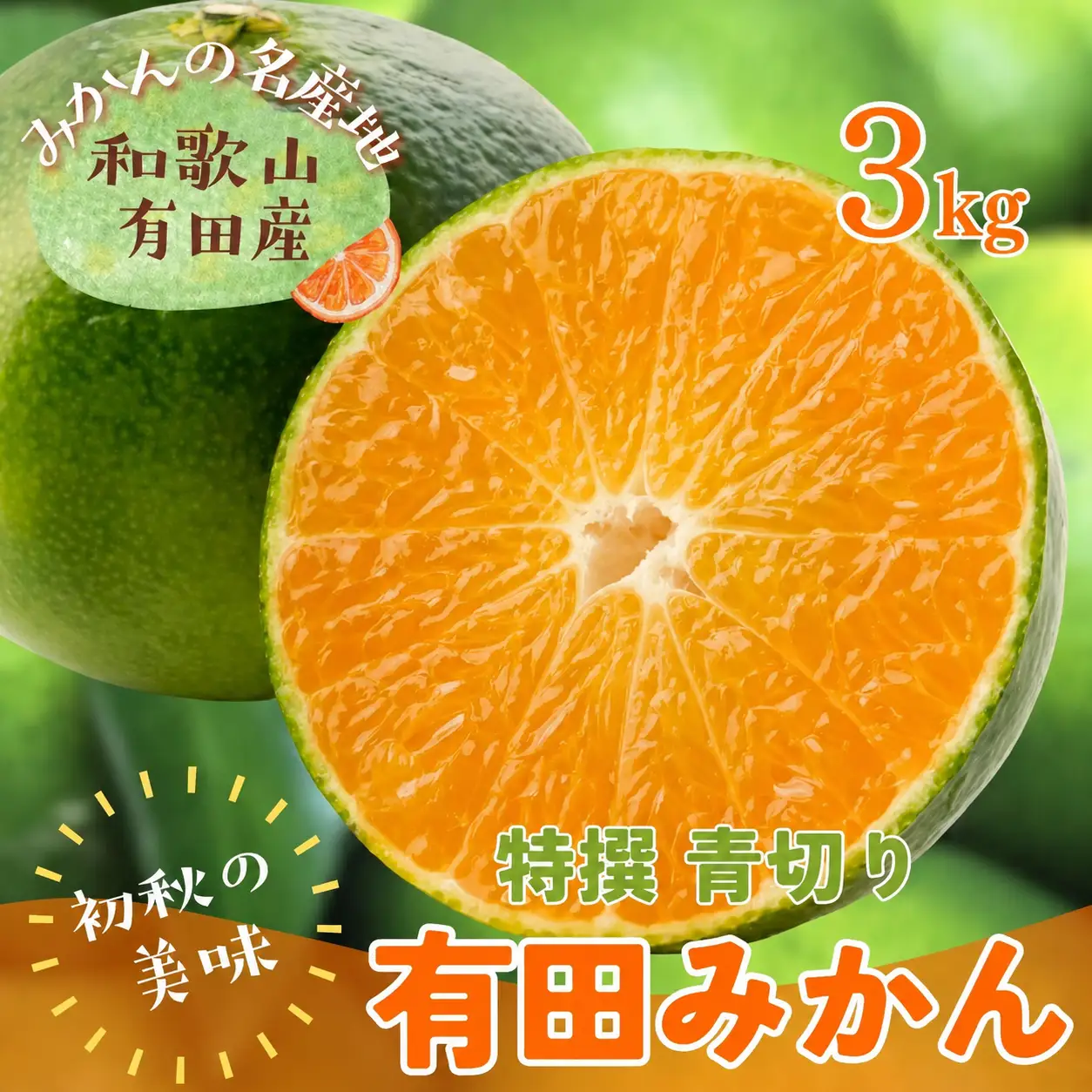 【先行予約】【2026年9月より順次発送】【初秋の美味】【農家直送】特選　青切り有田みかん　約3kg+200g(傷み補償分)　※北海道・沖縄・離島配送不可【ard043C】