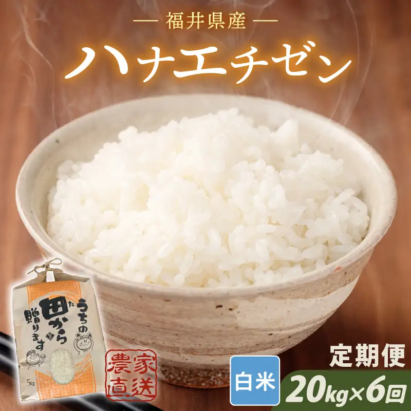 【先行予約】【令和8年産・新米】定期便 ≪6ヶ月連続お届け≫ ハナエチゼン20kg×6回 計120kg（白米）【2026年9月上旬以降順次発送予定】 [O-8910_01]