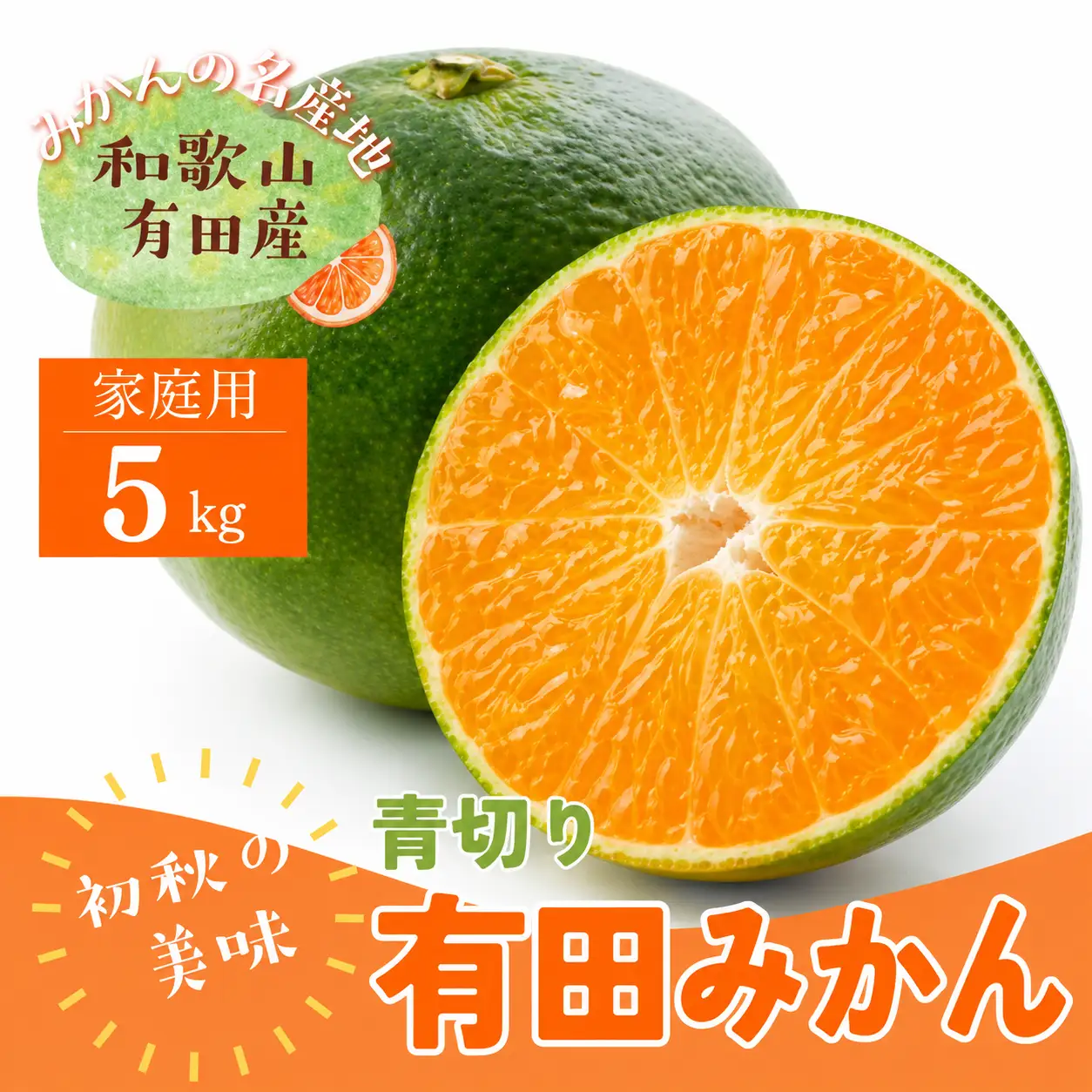 【先行予約】【2026年9月より発送】【初秋の美味】【農家直送】ご家庭用青切り有田みかん　約5kg +200g(傷み補償分)　※北海道・沖縄・離島配送不可 / 果物 フルーツ みかん 柑橘【ard045C】