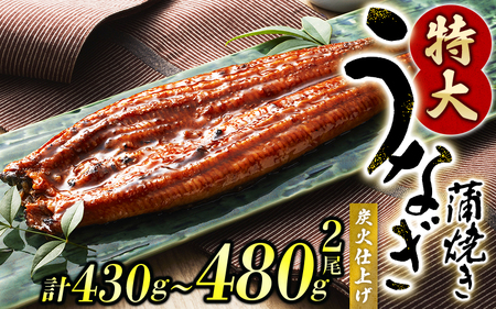1尾で約215g～240gのビッグサイズ うなぎ蒲焼 2尾 計約430g～480g （タレ・山椒付き） 【通常発送】【nks700B】