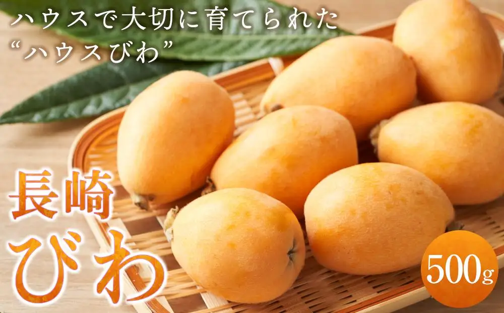 長崎ハウスびわ 500g |  びわ