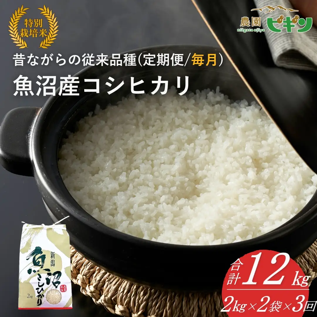 【令和8年産 先行予約】 昔ながらの魚沼産コシヒカリ 従来品種 定期便 12kg（2キロ2袋×毎月全3回）農園ビギン | おこめ 特A評価 小千谷市 コシヒカリ