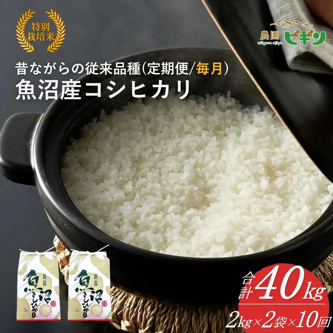【令和8年産 先行予約】 昔ながらの魚沼産コシヒカリ 従来品種 定期便 40kg（2キロ2袋毎月全10回）農園ビギン | おこめ 特A評価 小千谷市 コシヒカリ
