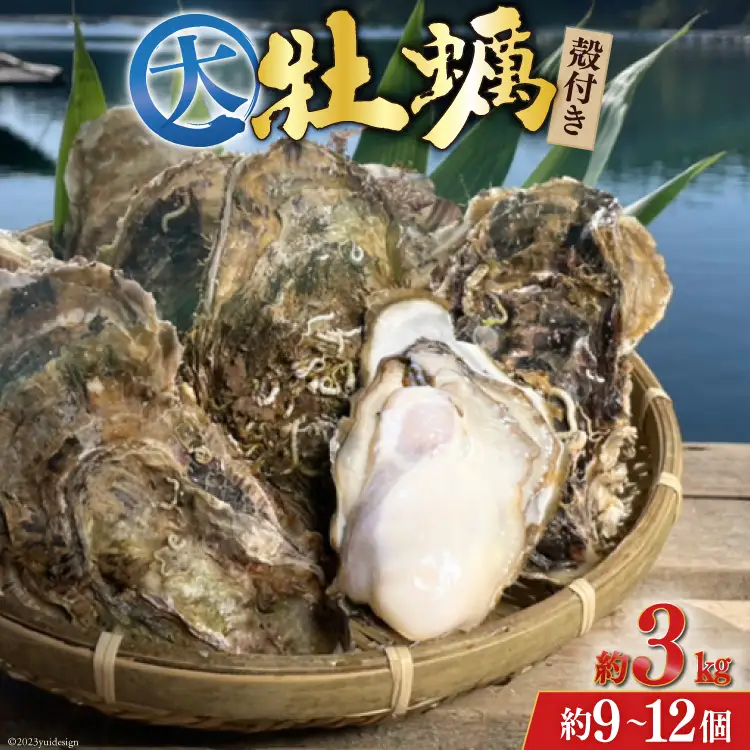 【期間限定発送】 TVで紹介！ 牡蠣 大粒 3～4年モノ 生食 殻付き牡蠣 約3kg(約9-12個入) 