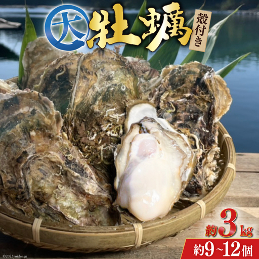 【期間限定発送】 TVで紹介！ 牡蠣 大粒 3～4年モノ 生食 殻付き牡蠣 約3kg(約9-12個入) 