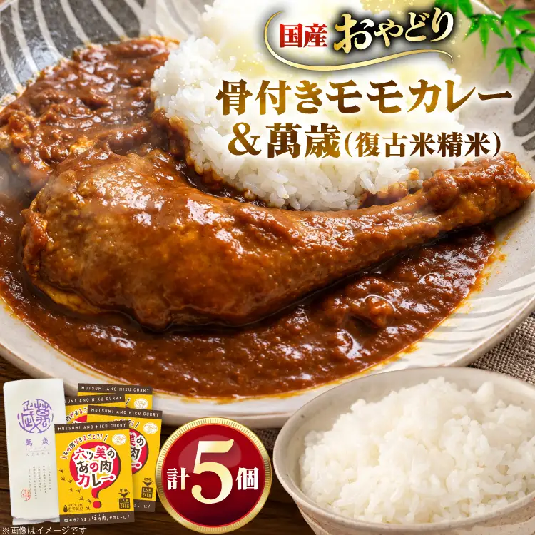 レトルト カレー 国産 骨付きモモ 1本 六ツ美のあの肉カレー 中辛 4個 萬歳 1袋 大正浪漫 セット
