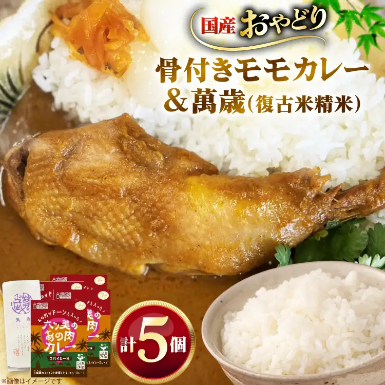 レトルト カレー 国産 骨付きモモ 1本 六ツ美のあの肉カレー 辛口 4個 萬歳 1袋 大正浪漫 セット