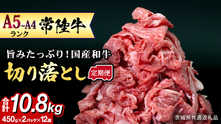 【定期便】 全12回 【 常陸牛 】 切り落とし900g（450g×2） (茨城県共通返礼品)