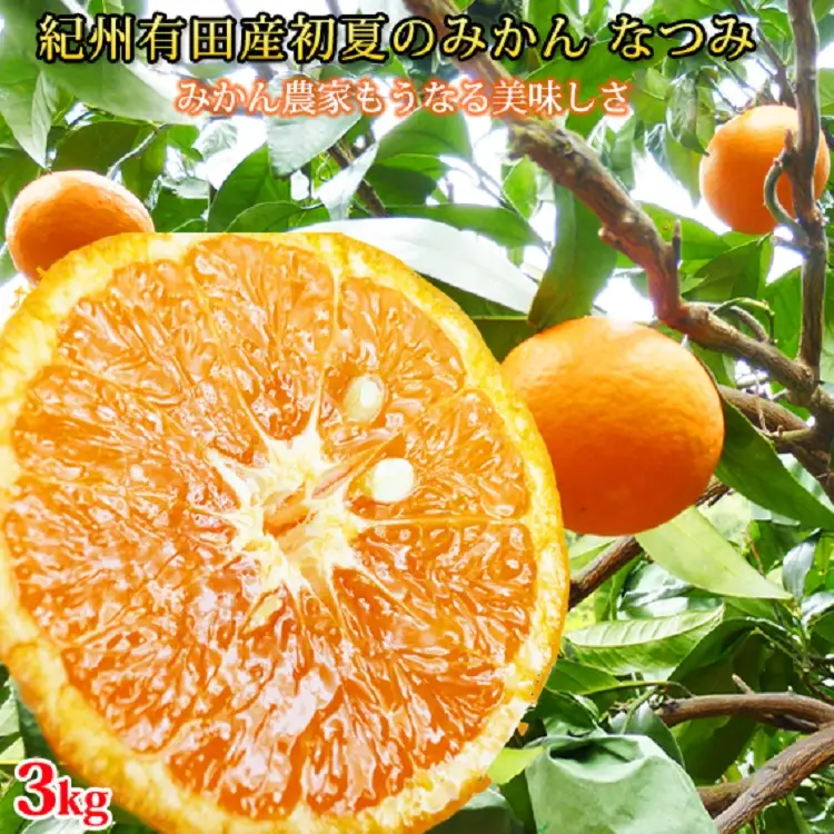 初夏のみかん　なつみ3kg　※2027年4月中旬頃～2027年4月下旬頃に順次発送予定（お届け日指定不可）【uot753A】