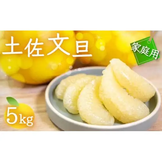 訳あり 文旦 5kg 先行予約