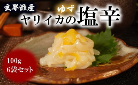 【玄界灘産】自家製ヤリイカのゆず塩辛＜食べきりサイズ＞たっぷり100g×6パック[H4467]