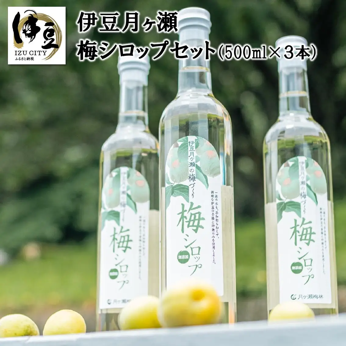 梅シロップ500ml×３本（化粧箱・ラッピング込み）セット　015-001