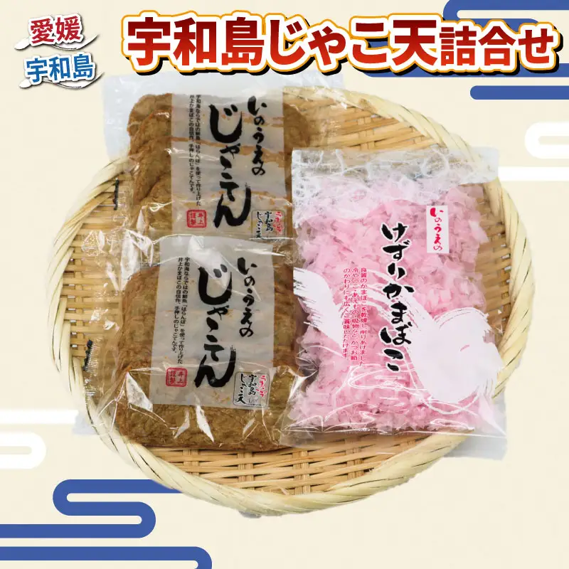練物 手押し じゃこ天 10枚 けずり蒲鉾 1袋 詰合せ 井上蒲鉾本舗 練物 おつまみ C010-003001