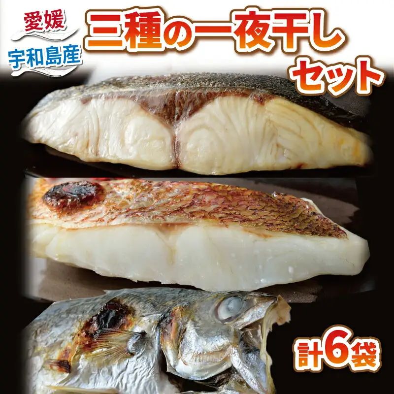 干物 【こもねっと】 一夜干し 干物セット 6枚 D010-008002