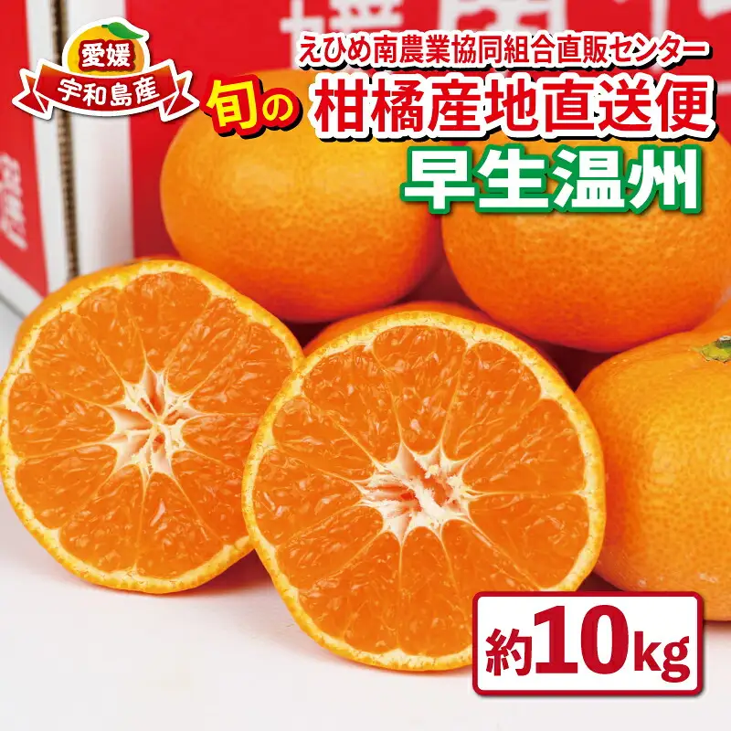 愛媛みかん 優品 早生温州 10kg JA 愛媛みかん B020-009001