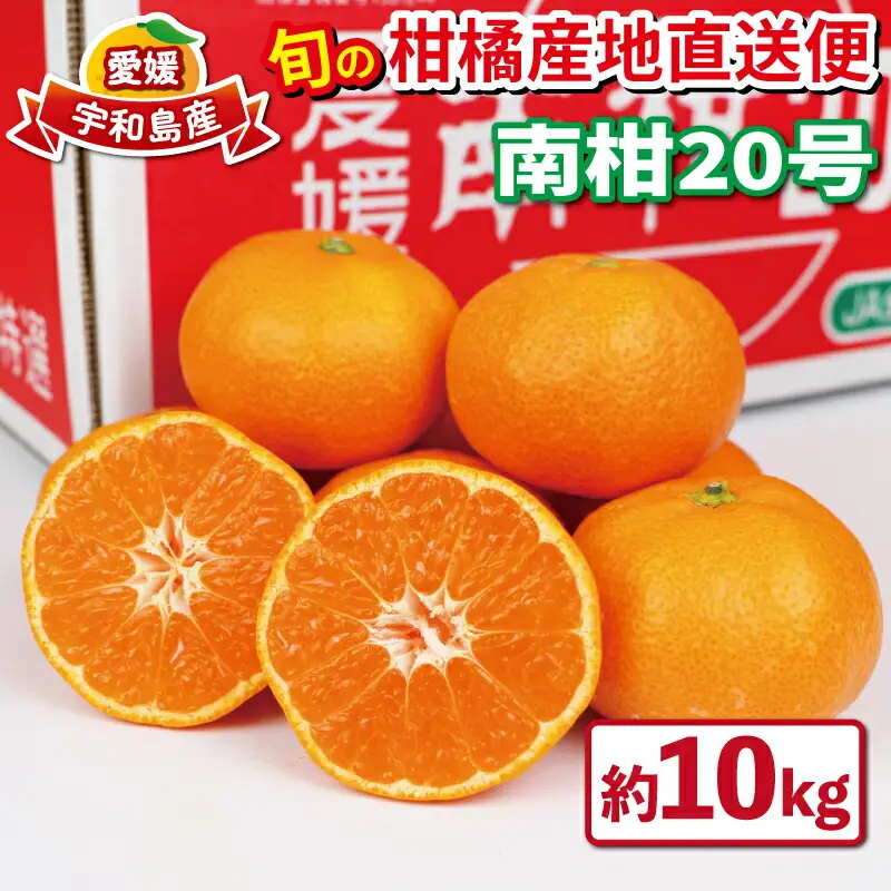【温州みかん】優品南柑20号10kgJA温州みかん|B020-009002