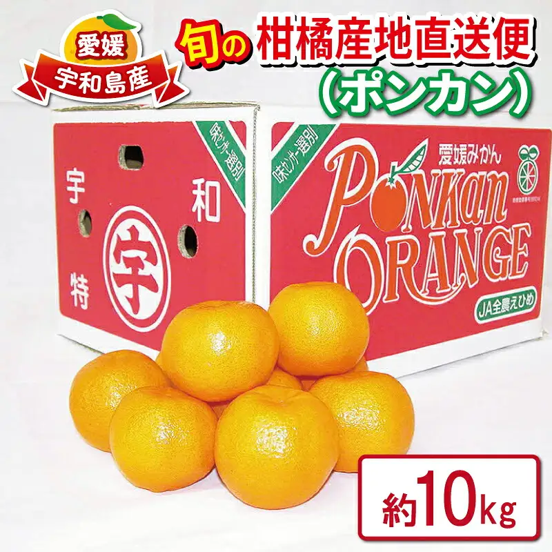 ポンカン 秀品 みかん 10kg JA みかん  B020-009003