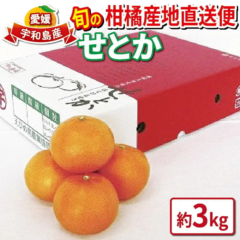 【せとか】せとか約3kgJAB020-009006