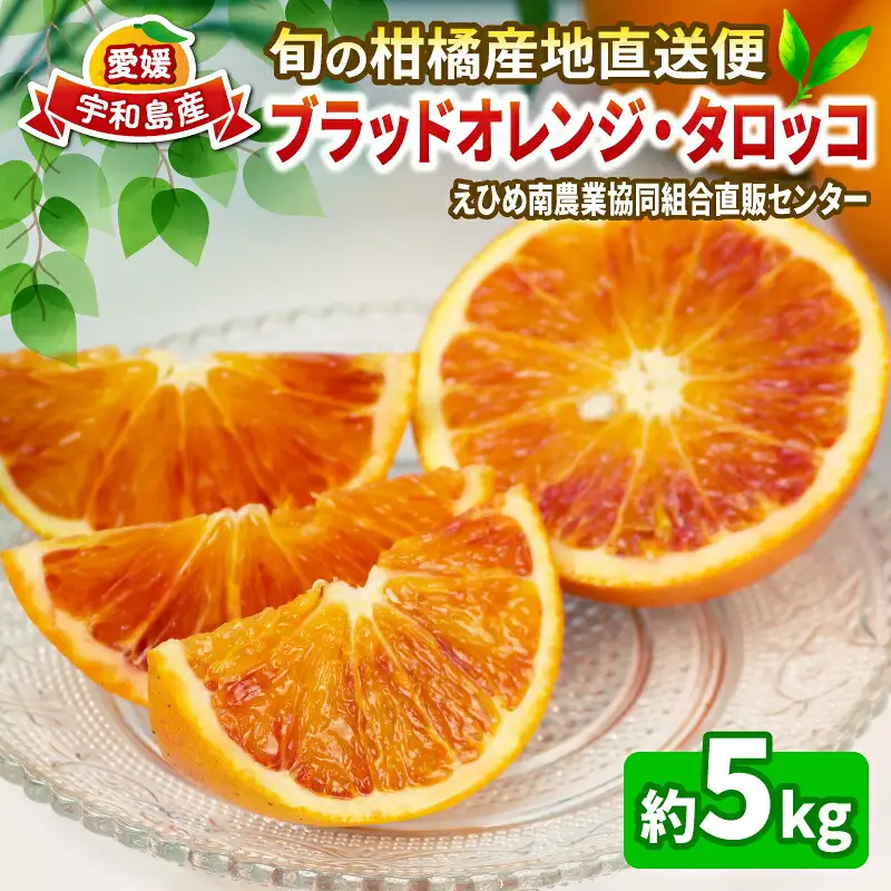 ブラッドオレンジ タロッコ 約 5kg JA オレンジ B020-009007