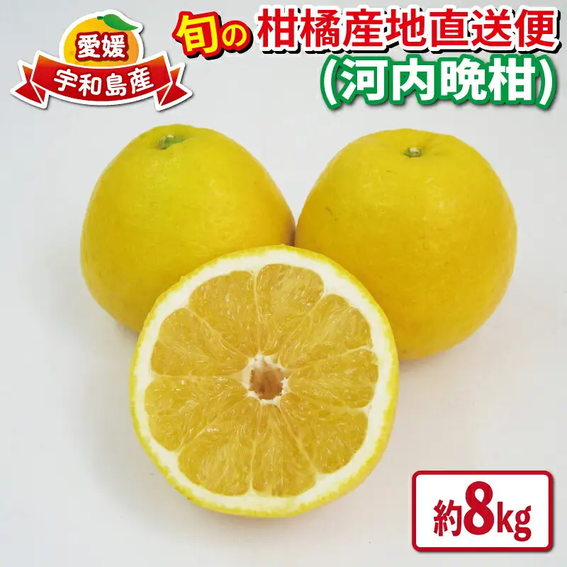 愛媛みかん 河内晩柑 約 8kg JA 河内晩柑 B020-009008