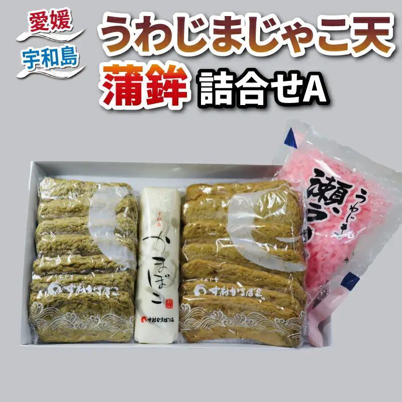 練物 じゃこ天 天ぷら 蒲鉾 詰め合わせ A 中村かまぼこ店 練物 C012-013001