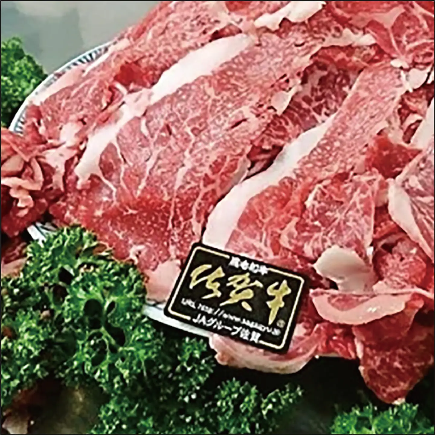 昭和21年創業 老舗名店プロデュース！佐賀牛 切り落とし 600g _b-47
