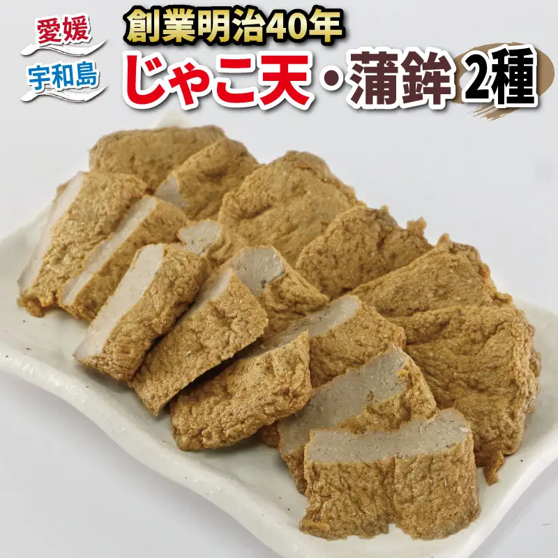 じゃこ天 蒲鉾 2種 セット 野中かまぼこ店 蒲鉾 C010-014001